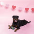 Fringe Studio Plush Dog Toy, Durable, Bubbly Love (729034)