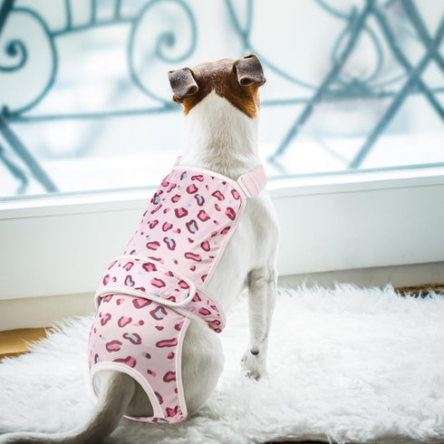 2 Pack ASENKU Dog Diapers Female Dogs, Dog Suspenders Reusable Doggie Diapers for Female Dogs Small,Washable Dog Period