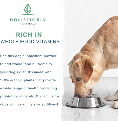 Canine Super Immune Human Grade Powdered Dog Immune Booster with Beet, Chlorella, & Medicinal Mushroom Blend (100g)