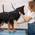 Dog Grooming Loop, Adjustable Nylon Belly Straps for Bathing Safety Tether, Grey Black for Grooming Table