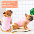 KYEESE 2 Pack Dog Shirts, Quick Dry Lightweight T-Shirts with Reflective Label, Sleeveless Vest for Small Dogs, Lemon