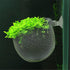 5 Pcs Plastic Aquatic Plant Pots, Aquarium Planter with Suction Cups for Fish Tank Holder