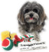 Christmas Stocking for Dogs with Squeaky Newspaper Toy, Boot Toy, Tennis Ball, and Knotted Rope