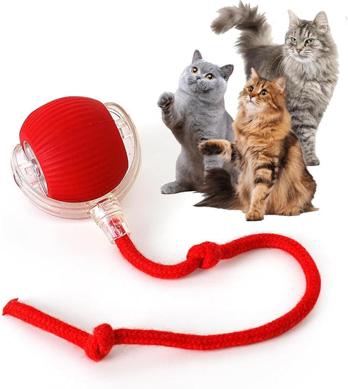 Rocfish Durable Interactive Cat Toys for Indoor Cats, Smart Automatic Cat Chase Ball