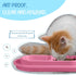 Uiifan 3 Pieces No Spill Cat Food Bowl Set for Small and Medium Dogs and Cats - Easy Cleaning Outdoor Feeder (Blue,