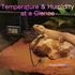 All-in-One Reptile Heat Lamp Bundle, Dual-Head UVB&UVA Lamp with Timer & Hygrothermograph, High UVA Lighting