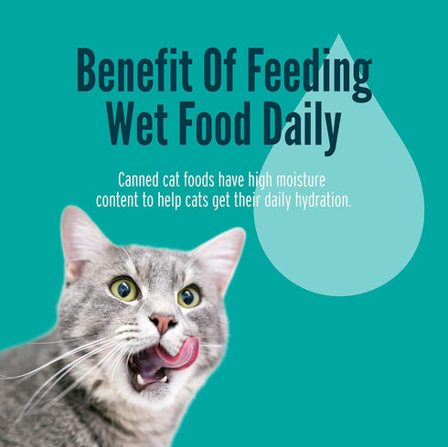 5.5 oz (Pack 24), A Strong Heart Canned Wet Cat Food, Salmon Dinner Pat - Cans of Made in The USA with Real Salmon
