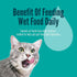 5.5 oz (Pack 24), A Strong Heart Canned Wet Cat Food, Salmon Dinner Pat - Cans of Made in The USA with Real Salmon
