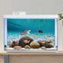 AWERT 30x18 inches Undersea Aquarium Background: Pool Ocean Floor, Underwater Fish Tank Background