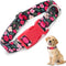 Girl Dog Collar with Red Flowers, Quick Release Buckle & Adjustable Comfy Pet Collar for Small Medium Large XL Dogs