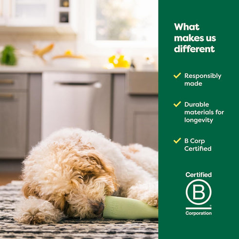 Earth Rated Enrichment Dog Toy, Natural Rubber, Dishwasher and Freezer-Safe, Small Green for Adult and Puppy Dogs