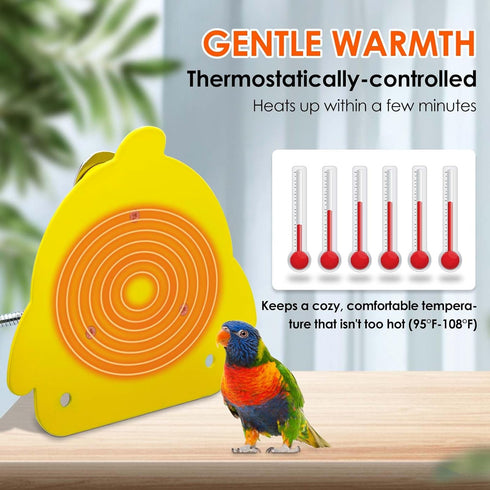Bird Cage Heater for Cockatiels Parrots Conure Finches Parakeets Heater Bird Heater for Cage Snuggle Up Bird Warmer Heater 12V Birdcage Warmer 18W Pet Bird Heating Plate 5.3" x 4.7"