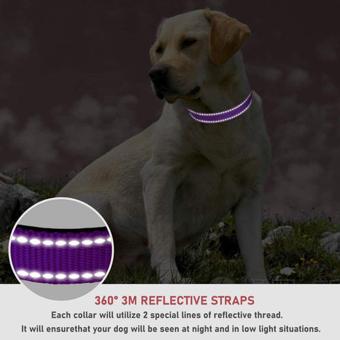 Reflective Dog Collar with Buckle, Adjustable Safety Nylon Collars for Small Medium Large Dogs, Purple S