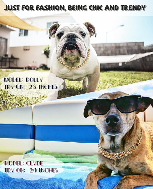 Gold Chain Dog Collar - 3/4 Width Cuban Link Necklace, Cute Fashion Pet Collar for Pit Bulldog, Light Metal Jewelry