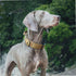 OneTigris Tough Tactical Dog Collar, Adjustable Military Collar with Handle, Large, Brown