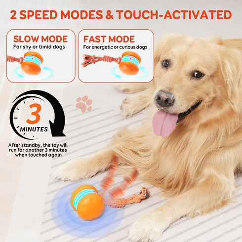 QGI Interactive Dog Toys, Random Path Electric Automatic Moving and Rolling Dogs Toy with Rope for Small Medium Large