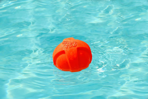 Hartz DuraPlay Ball Squeaky Latex Dog Toy, Large 3 Count Pack in Neon Green, Neon Pink & Neon Orange