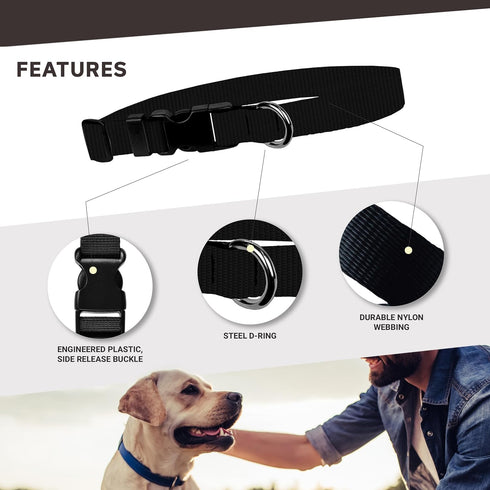 Dog Collar - Adjustable Patterned Pet Collars, 1 Inch Wide, Large, Tie-Dye Design