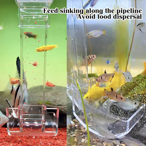 Rainmae Aquarium Fish Shrimp Feeding Dish Set, Transparent Fish Feeder Tube Kit with Cleaning Brush