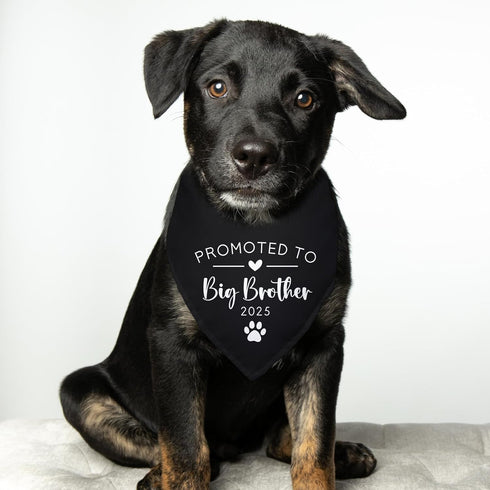 Yishuliwu 2025 Promoted to Big Brother Black Pet Dog Bandanas Triangle Scarf Bandanas Bibs Birthday Party Props Gender