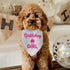 Luptiteuy Dog Birthday Bandana Birthday Girl Pet Scarf Bibs Accessories Party Supplies for Dog Lover Small Medium Puppy
