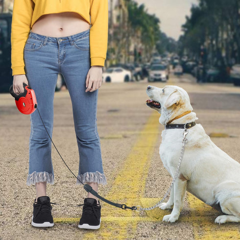 Idepet Heavy Duty Retractable Dog Leash, 26ft Leash for Small and Medium Dogs, Anti-Chewing Steel Chain Design