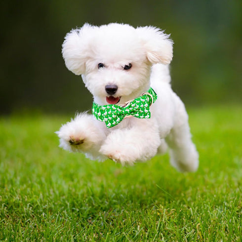 Adjustable Dog Collar for X-Large Dogs, Green Gooses Summer Holiday Pet Collar for Boys & Girls