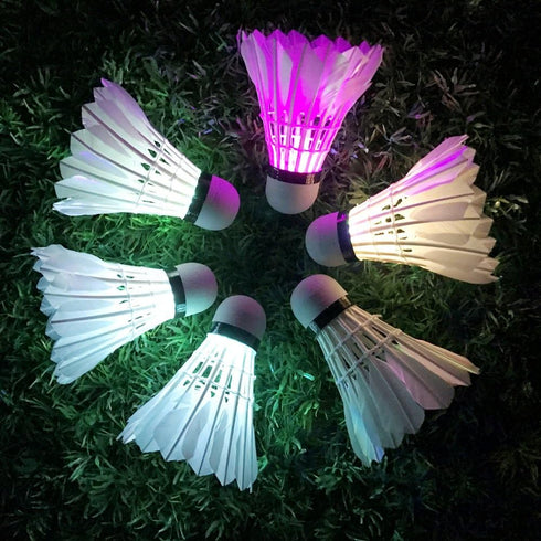 Leadge LED Shuttlecock Badminton Birdies, Dark Night Goose Feather Glow Birdies for Indoor Outdoor Sport Activities (6