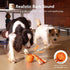 Cheerble Smart Interactive Dog Toy, Wicked Ball Rolly, Automatic Moving, Bouncing, Rotating, E-TPU Material, with Rope