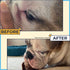 Wrinkle Wipes for Bulldogs, Alcohol Free Dog Face Wipes for Wrinkles and Tail Pockets