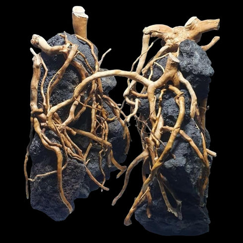 Natural Red Moor Driftwood Mix for Aquarium Decorations, 150 g Moss Ball for Terrarium Fairy Garden Freshwater Planted