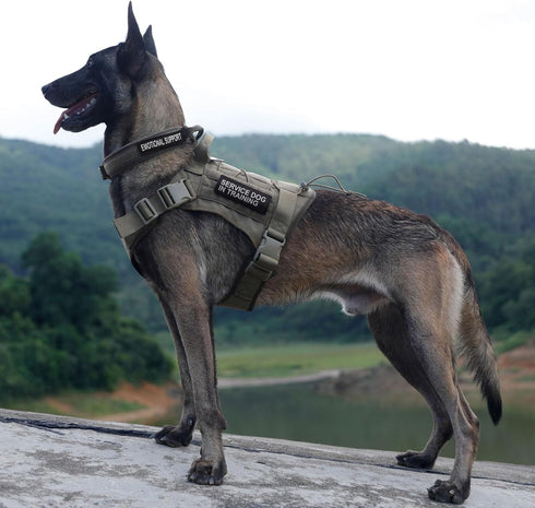 EXCELLENT ELITE SPANKER Tactical Dog Harness, Military Working Vest with Handle, Adjustable Training Vest for Large