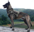 EXCELLENT ELITE SPANKER Tactical Dog Harness, Military Working Vest with Handle, Adjustable Training Vest for Large