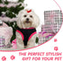 2 Pieces Dog Dresses for Small Dogs, Cute Girl Dog Dress for XS Puppies, Summer Clothes Apparel for Dogs and Cats