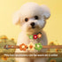 PET SHOW 10Pairs Flower Dog Hair Bows, Grooming Accessories for Small Medium Dogs, Yorkie Boy Girl with Rubber Band