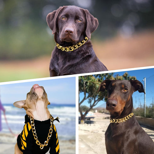 19MM Thick Light Metal Cuban Link Dog Collar, Gold Chain Necklace for Small Dogs - 12" Length