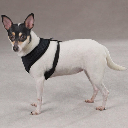 Mesh Dog Harness, X-Large, Black