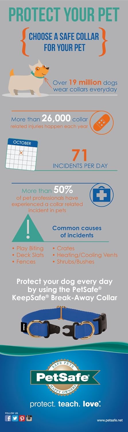 PetSafe KeepSafe Break-Away Collar, Prevent Collar Accidents for Your Dog or Puppy, Adjustable Sizes for Improved Safety