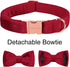 ARING PET Velvet Dog Collar - Soft Bowtie with Metal Buckle, Cute Comfortable Christmas Red Collar for Small Medium