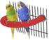 Rypet U Shape Parrot Perch Stand Toy for Paw Grinding, Quartz Bird Perch for Small Parakeets, Cockatiels, Conures,