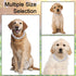 Metal Cuban Diamond Dog Chain, Dog Training Chain with Secure Buckle Pet Collars for Large Medium Dogs