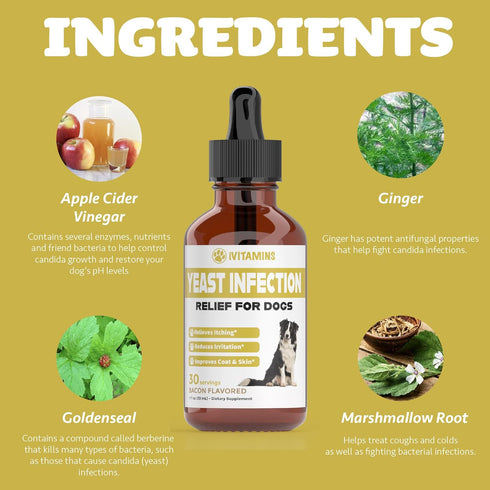 Natural Yeast Infection Treatment for Dogs | Supports Itch Relief & Inflammation Relief | 1 fl oz