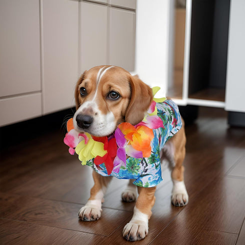 3 Pieces Pet Dog Hawaiian Costume, Summer Shirts for Small Medium Dogs with Funny Sunglasses