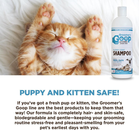 Groomer's Goop Glossy Coat Pet Shampoo - 16 oz Flip-Top Bottle for Shiny Fur