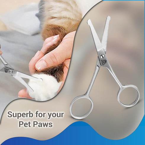 ARSUK Dog Scissors for Grooming Face and Paws, Blunt Rounded Tip, 4.5-Inch Stainless Steel for Cats and Dogs