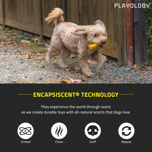 Playology Squeaky Chew Stick Dog Toy for Large Breeds (35lbs and Up), All-Natural Cheddar Cheese Scent