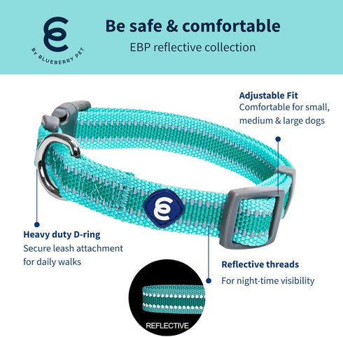 Blueberry Pet Essentials Small Dog Collar - Adjustable Classic Solid Color Nylon, Reflective Minty Green for Small Dogs