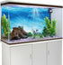 AWERT 36x20 inches Vinyl Undersea Theme Aquarium Background with Colorful Coral and Tropical Fish
