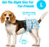 Pet Soft Female Dog Diapers, 3 Pack Washable Period Panties for Dogs in Heat, Reusable Puppy Diapers (Flower, L)