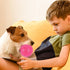 16 Pack Squeaky Dog Balls - 2.5'' Spiky TPR Rubber Balls for Teething, Interactive Fetch Toys for Small and Medium Dogs